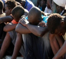 Retour au Bercail : L'Oim a assisté 559 Sénégalais majoritairement originaires de Kolda et Dakar