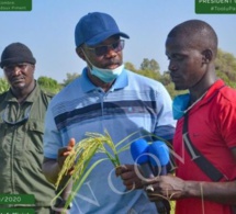 «Je n’irai pas répondre à l’Ofnac»: Sonko dézingue Mansour Faye!
