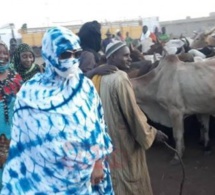 Magal à Ngabou : Sokhna Aïda Diallo a mobilisé un budget de 2,5 milliards Fcfa