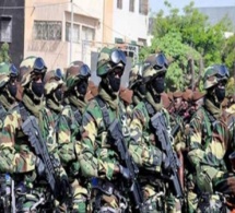 Ziguinchor: L'Armée brûle un grand champ de chanvre indien cultivé par une bande armée