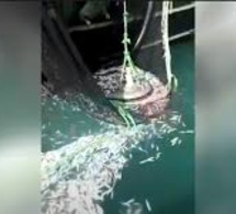 URGENT / DIRECT: Altercation entre les pêcheurs artisanaux de Cayar et des bateaux étrangers
