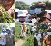 Mamadou Ndione, Directeur général du COSEC: "La relance de l’économie sénégalaise passe par la relance agricole"