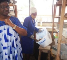 Au Nigeria, le Covid-19 donne un nouvel élan à la défense du pangolin