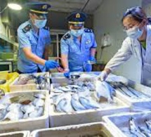 Du coronavirus vivant détecté sur l’emballage d’aliments congelés en Chine