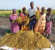 Fatick : Mamadou Ngom Niang donne suite à l’appel du Président Macky Sall, pour un retour vers l’agriculture