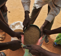 Insécurité alimentaire et crise nutritionnelle au Centre Sahel : Des agences des Nations-Unies appellent à l’assistance aux plus vulnérables