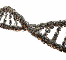 Des gènes capables de lutter contre le cancer découverts par des scientifiques