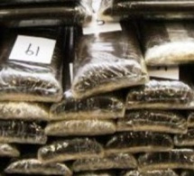 Un Nigérian dissimule 10 boulettes de cocaïne dans ses parties intimes