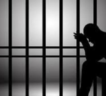 Escroquerie foncière: Papa Gastro en prison pour un terrain vendu à deux personnes