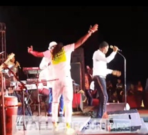 Soirée Wally Seck au Timis, la tenue hyper excitante de cette fille choc le public