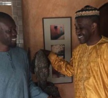 Les mises en garde d’Adama Gaye à « son cadet », Ousmane Sonko