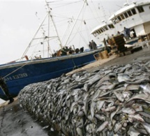 Pillage ressources halieutiques: l'UE veut un nouveau partenariat de 10.000 tonnes de poisson par an