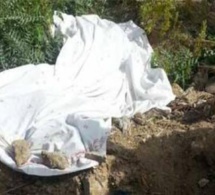 Drame à Kolda : Un véhicule fait marche arrière et écrase une vieille dame