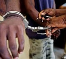Touba/arrestation d'un présumé terroriste: ses techniques de guerre, connexion avec Al-Qaïda