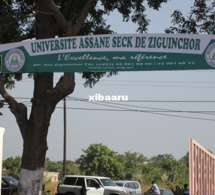 Université Assane Seck de Ziguinchor : La Section SAES tire sur le Recteur !