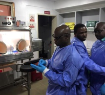 Test de diagnostic rapide: l’Institut Pasteur lance la plateforme Diatropix