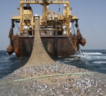 A bord de leurs bateaux, des Chinois pêchent 8 corps aux larges des côtes dakaroises