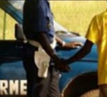 Racket illimix des chauffeurs, Pape Diallo Niang tire sur les policiers et les gendarmes (Vidéo)