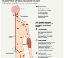 Pape Bouba Diop a été emporté par la maladie de Charcot