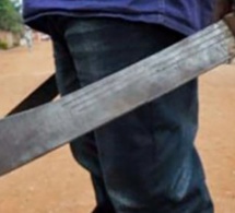 Kébémer: Pour se venger sur son oncle, il découpe le fils de ce dernier à coups de machette