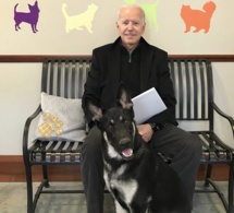 Etats-Unis : le nouveau président Joe Biden s’est fracturé le pied en jouant avec son chien