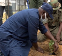 Grande Muraille verte: " La vision du Président Macky Sall est beaucoup plus ambitieuse que celle de Wade"