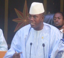 Assemblée nationale/Cheikh Abdou Mbacké Dolly : «Celui qui mange des gazelles Oryx ne sera jamais démis de ses fonctions..."