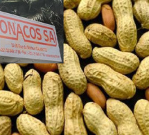 Campagne arachidière à Ziguinchor : aucune graine reçue à l’usine, les huiliers haussent le ton