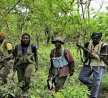 Ziguinchor: trois (3) jeunes enlevés dans la forêt de Bilasse