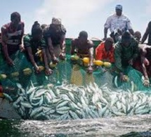 Rufisque: Sa marche interdite, l’Unapas étale sa colère au quai de pêche