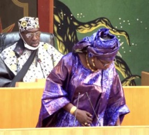 Vote du budget: La plaidoirie de Aminata Arame Ly pour le désenclavement de Podor