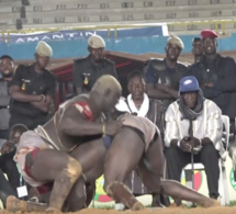 Lutte - Le camp de Modou Lô prévient le fils de Falaye Baldé: "il n'est pas Balla Gaye 2.."