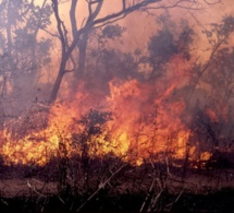 Ndiaw Bambali: un incendie réduit 60 tonnes de mil en cendres