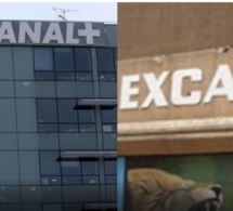 Réponse du Groupe Excaf: La convention liant la Société Canal Plus Sénégal et l’Etat du Sénégal, n’a jamais été approuvée par décret