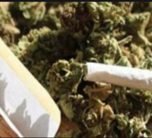Trafic de drogue : Un artiste-musicien écope de 2 ans de prison ferme