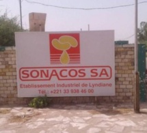 Seules 1 414 tonnes d’arachide collectées : L’heure est grave à la SONACOS de Diourbel