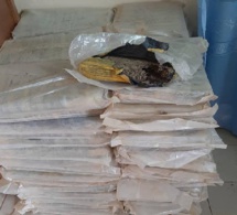 Coup de filet de la gendarmerie à Ourossogui: Plus de 200 kg de chanvre indien saisis, 1 individu arrêté, 2 autres en fuite