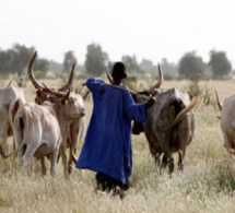 Sénégal : Hausse de l’activité économique interne au mois d’octobre