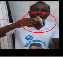Des militants du PDS « maudissent » Macky avec des oiseaux