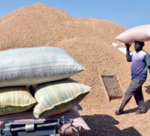 Commercialisation de l’arachide : c’est la grogne chez les saisonniers de la Sonacos Lydiane