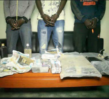 Détention et trafic de cocaïne: La Docrtis a mis la main sur deux Nigérians à Dakar