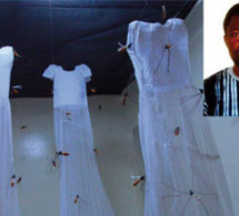 Profil - Henri Sagna, peintre sénégalais : L’artiste environnemental Profil - Henri Sagna, peintre sénégalais : L’artiste environnemental