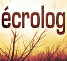 Nécrologie : Décès du Pr Abdoulaye Bara Diop, ancien Directeur de L’IFAN Cheikh Anta Diop