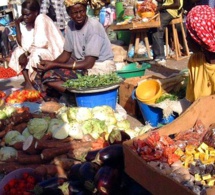 Sénégal : Hausse des chiffres d’affaires des services et du commerce au mois de septembre