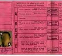 Désormais, circuler avec les permis «rose» est une infraction