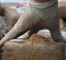 Saisie record de drogue à Ngaparou: sur l'odeur des 675 kilos de cocaïne interceptés