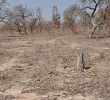Paysages dégradés, productivité agricole : la BM va injecter près de 2 687 milliards de F CFA pour les zones arides d'Afrique