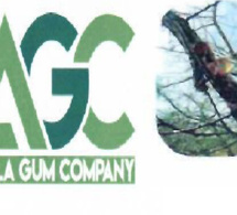 Réponse d’Asiyla Gum Company à l'ambassade d'Arabie Saoudite : « notre Société ne s’est jamais réclamée saoudienne… »