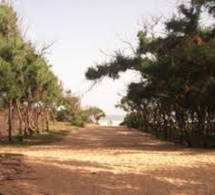Zone de la Bande "Filao" Lompoul-Potou : le point de la souffrance !