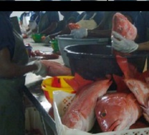 Tension à Keur Mousseu : Vive polémique autour de l’implantation d’une poissonnerie